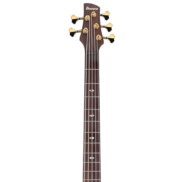 Ibanez SR5505-MHF SR Prestige Serisi Mocha Flat Bas Gitar